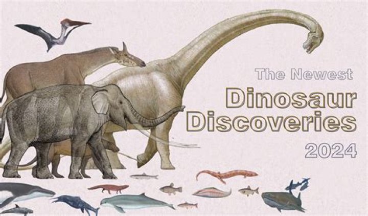 Discoveries And Insights For "benk34"