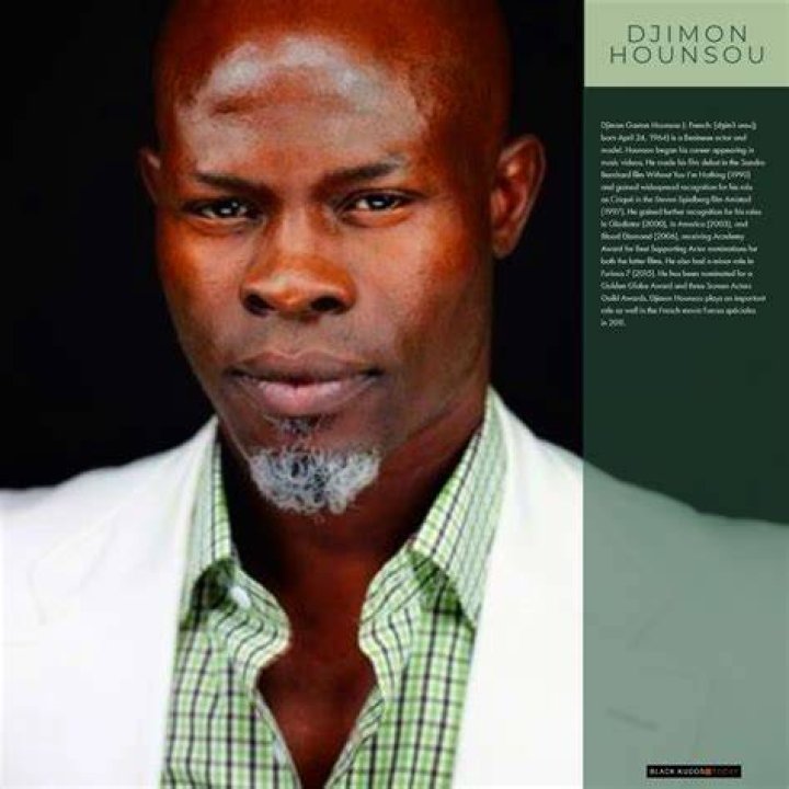 Djimon Hounsou Biography, Age, Height, Wife, Net Worth, Family World