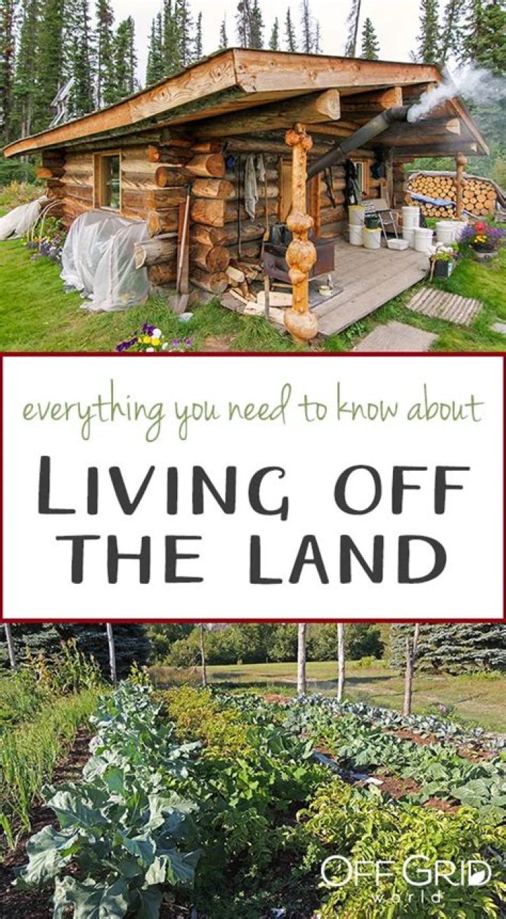 Living off the Land Mountain Men HISTORY Channel