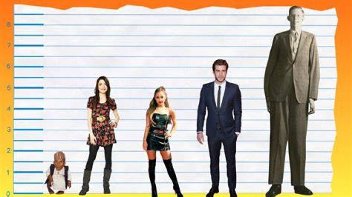 Miranda Cosgrove Height, Stats and Body Measurements