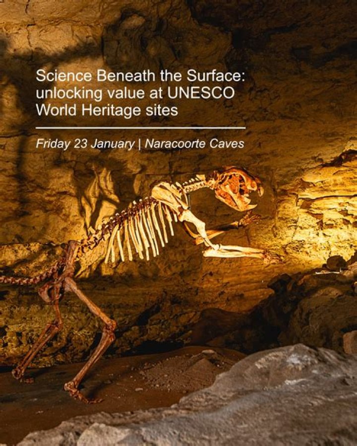 Unlocking Insights Beyond The Surface